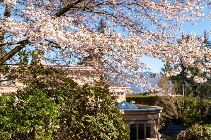 Photo 37 at 4778 Drummond Drive, Point Grey, Vancouver West