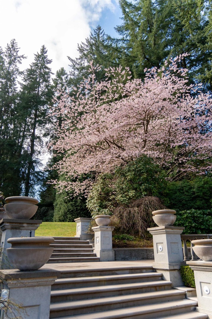 Photo 35 at 4778 Drummond Drive, Point Grey, Vancouver West