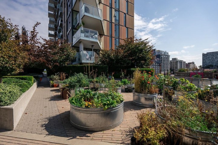 Photo 34 at 905 - 285 E 10th Avenue, Mount Pleasant VE, Vancouver East