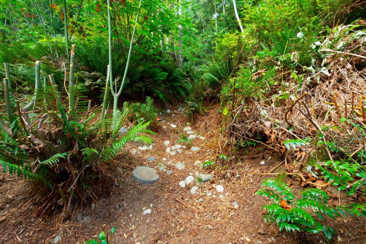 Photo 31 at 2867 Panorama Drive, Deep Cove, North Vancouver