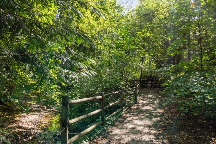 Photo 16 at 311 - 150 W 22nd Street, Central Lonsdale, North Vancouver