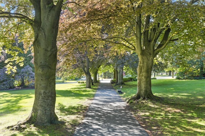 Photo 37 at 1302 - 158 W 13th Street, Central Lonsdale, North Vancouver