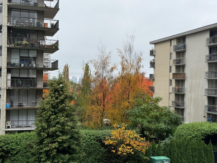 Photo 5 at 202 - 108 E 8th Street, Central Lonsdale, North Vancouver