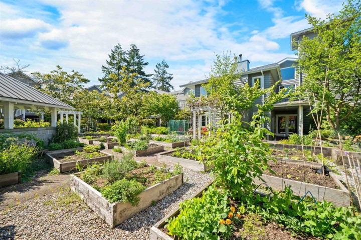 Photo 27 at 204 - 1528 Bowser Avenue, Norgate, North Vancouver