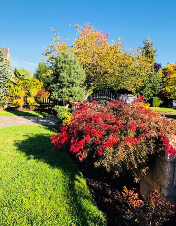 Photo 7 at 1291 W 50th Avenue, South Granville, Vancouver West