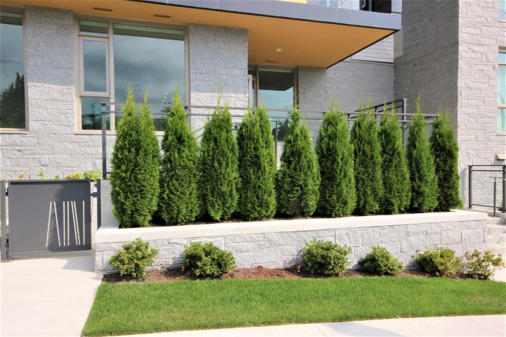 Photo 18 at 203 - 389 W 59th Avenue, South Cambie, Vancouver West