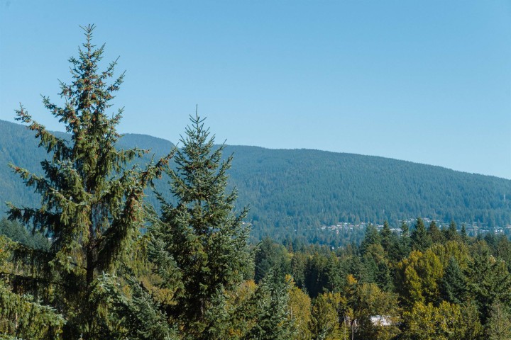 Photo 36 at 1404 - 2008 Fullerton Avenue, Pemberton NV, North Vancouver