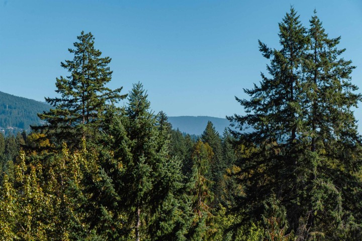 Photo 39 at 1404 - 2008 Fullerton Avenue, Pemberton NV, North Vancouver