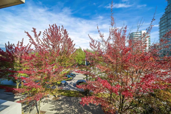 Photo 8 at 301 - 1863 Alberni Street, West End VW, Vancouver West