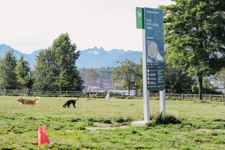 Photo 26 at 313 - 2636 E Hastings Street, Renfrew VE, Vancouver East