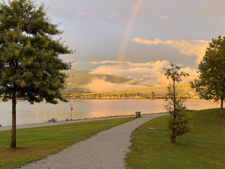 Photo 28 at 313 - 2636 E Hastings Street, Renfrew VE, Vancouver East