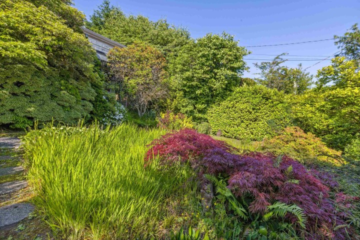 Photo 33 at 2575 Queens Avenue, Queens, West Vancouver