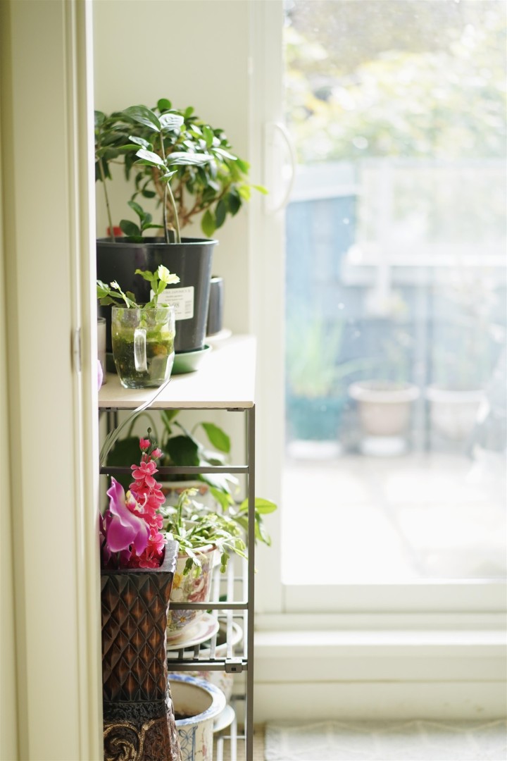 Photo 3 at 4886 Eldorado Mews, Collingwood VE, Vancouver East