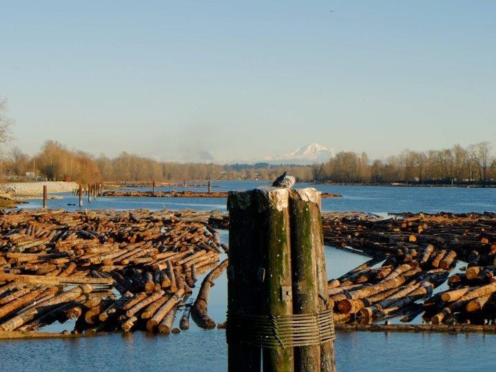 Photo 18 at 506 - 3289 Riverwalk Avenue, South Marine, Vancouver East