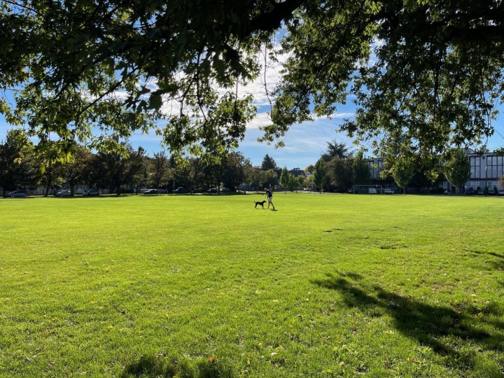 Photo 37 at 2887 E Georgia Street, Renfrew VE, Vancouver East