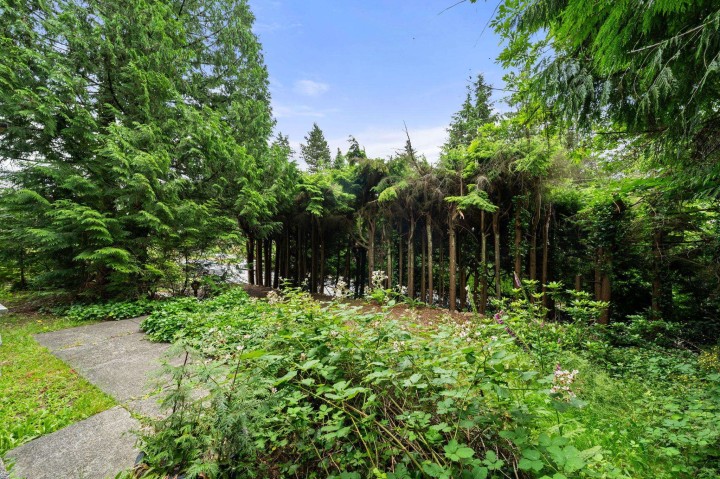 Photo 5 at 338 E Osborne Road, Upper Lonsdale, North Vancouver