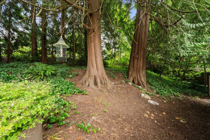 Photo 15 at 338 E Osborne Road, Upper Lonsdale, North Vancouver