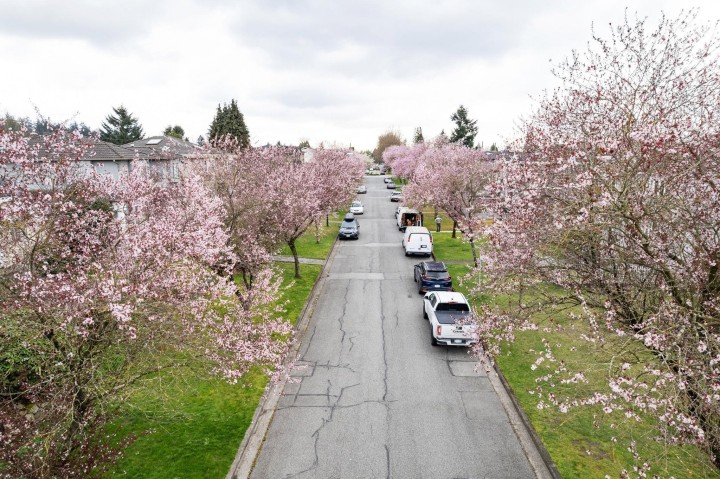 Photo 10 at 5878 Arlington Street, Killarney VE, Vancouver East