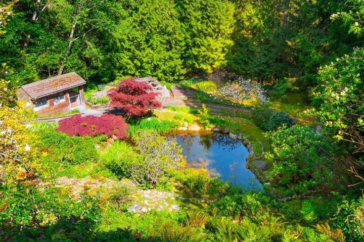 Photo 32 at 4228 Rockridge Crescent, Rockridge, West Vancouver