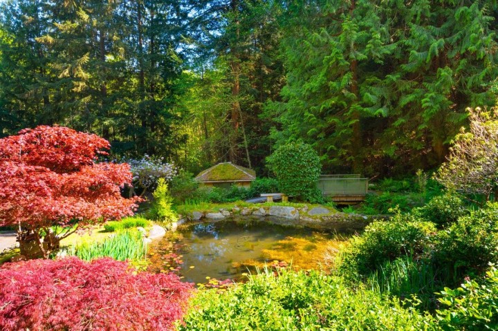 Photo 34 at 4228 Rockridge Crescent, Rockridge, West Vancouver