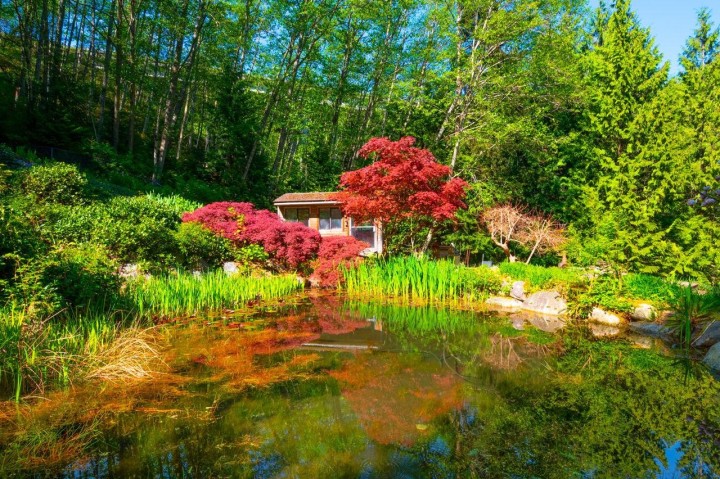 Photo 37 at 4228 Rockridge Crescent, Rockridge, West Vancouver