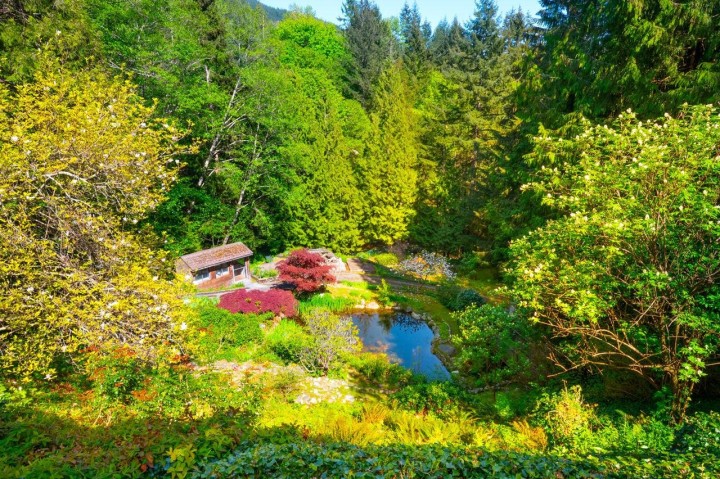 Photo 31 at 4228 Rockridge Crescent, Rockridge, West Vancouver