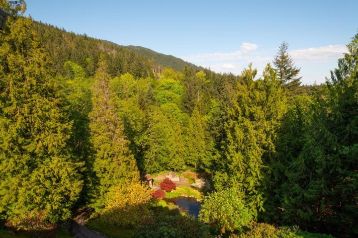 Photo 39 at 4228 Rockridge Crescent, Rockridge, West Vancouver