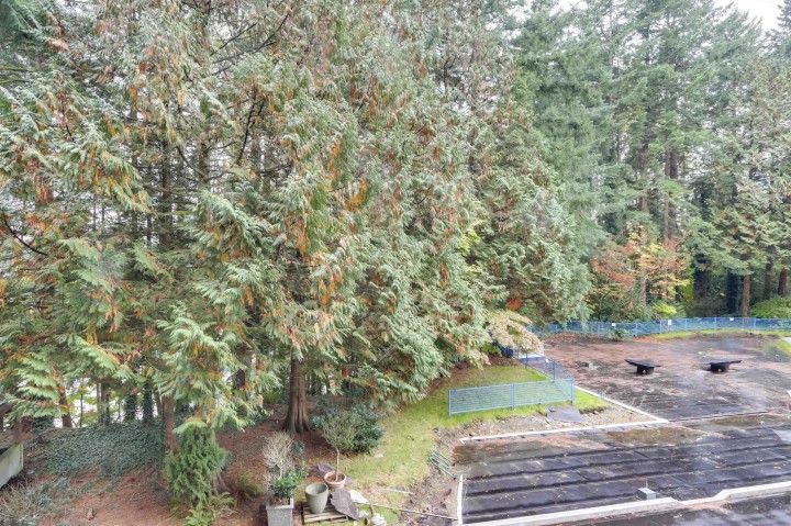 Photo 20 at 303 - 2004 Fullerton Avenue, Pemberton NV, North Vancouver