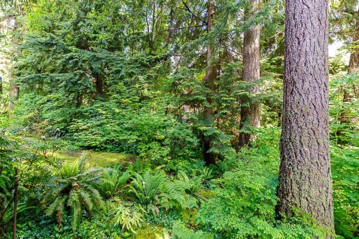 Photo 30 at 1174 Strathaven Drive, Northlands, North Vancouver