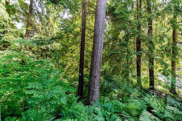 Photo 29 at 1174 Strathaven Drive, Northlands, North Vancouver