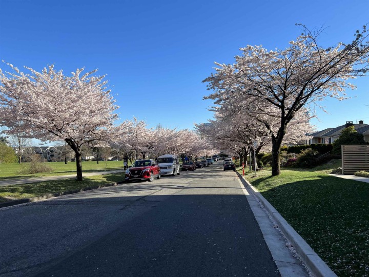 Photo 39 at 106 - 477 W 59th Avenue, South Cambie, Vancouver West