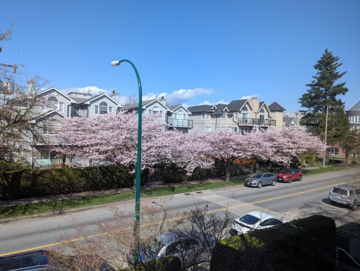 Photo 27 at 305 - 868 W 16th Avenue, Cambie, Vancouver West