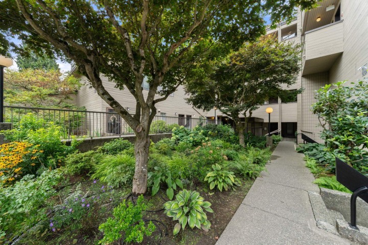 Photo 18 at 206 - 1363 Clyde Avenue, Ambleside, West Vancouver