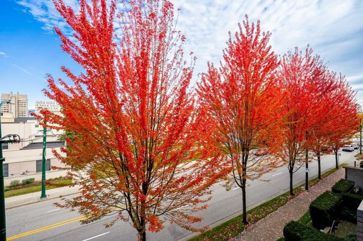 Photo 29 at 310 - 750 W 12th Avenue, Fairview VW, Vancouver West