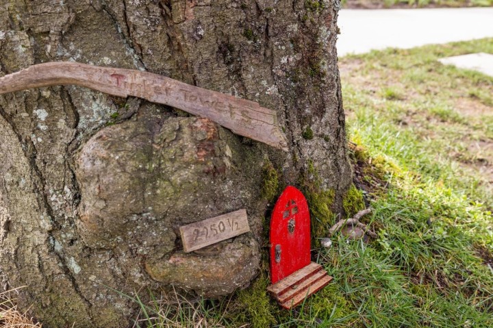 Photo 39 at 2248 Grant Street, Grandview Woodland, Vancouver East