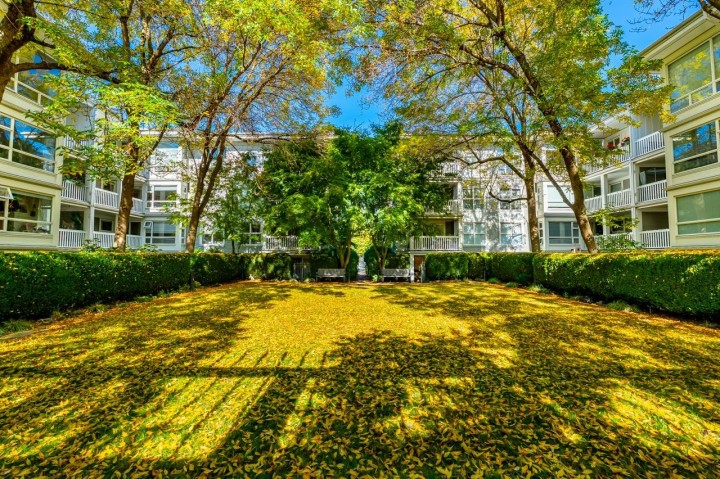 Photo 36 at 101 - 1858 W 5th Avenue, Kitsilano, Vancouver West