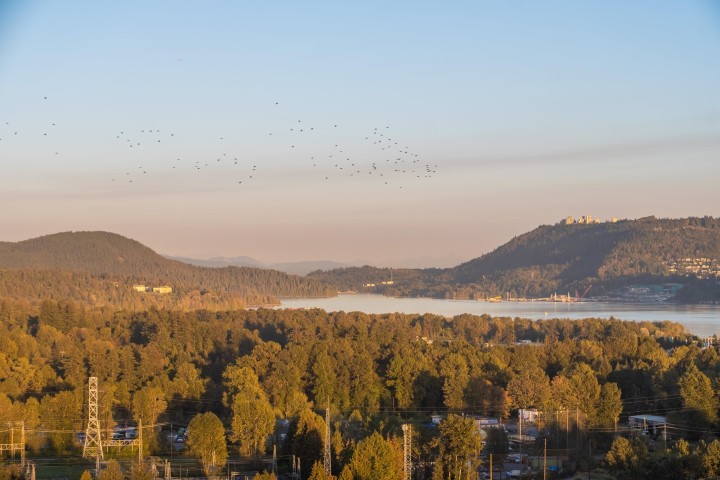 Photo 29 at 2602 - 1401 Hunter Street, Lynnmour, North Vancouver