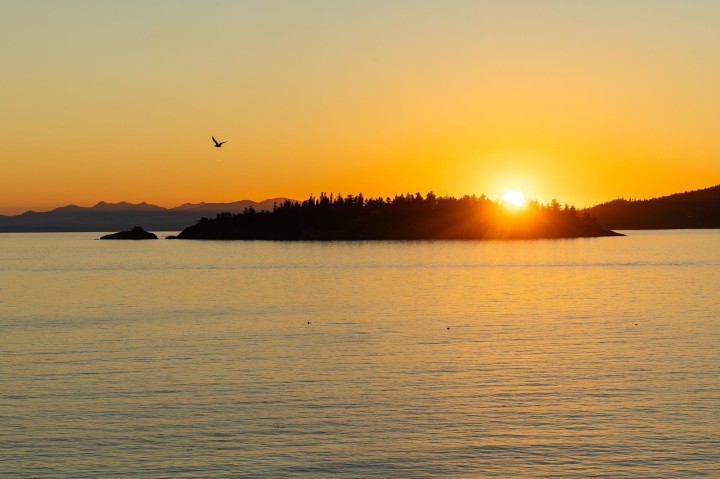 Photo 32 at 5530 Parthenon Place, Eagle Harbour, West Vancouver