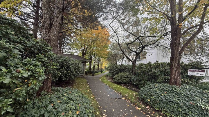 Photo 20 at 106 - 3455 Ascot Place, Collingwood VE, Vancouver East