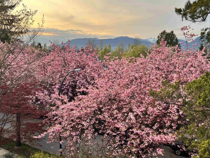 Photo 30 at 1082 E 10th Avenue, Mount Pleasant VE, Vancouver East