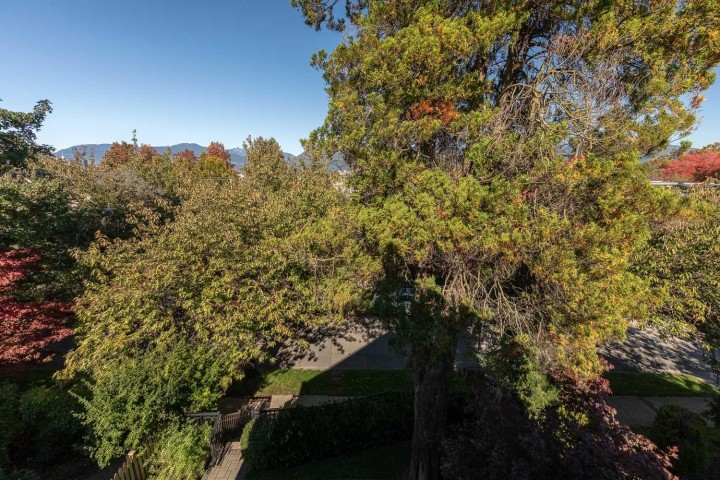 Photo 29 at 1082 E 10th Avenue, Mount Pleasant VE, Vancouver East