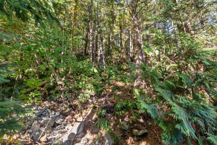 Photo 29 at 2717 Panorama Drive, Deep Cove, North Vancouver