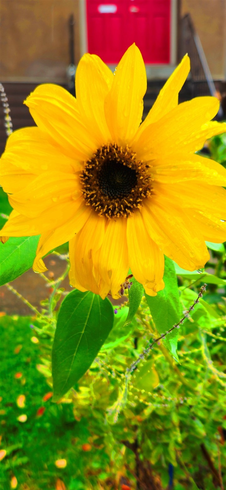 Photo 4 at 1072 E 55th Avenue, South Vancouver, Vancouver East