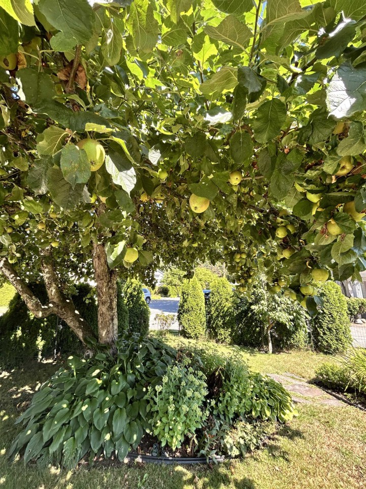 Photo 14 at 1798 Garden Avenue, Pemberton NV, North Vancouver