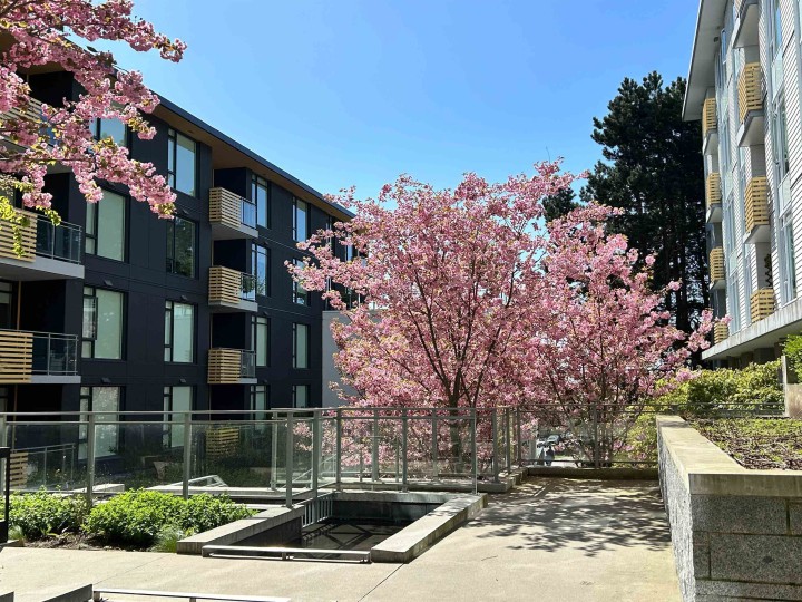 Photo 1 at 609 - 7428 Alberta Street, South Cambie, Vancouver West