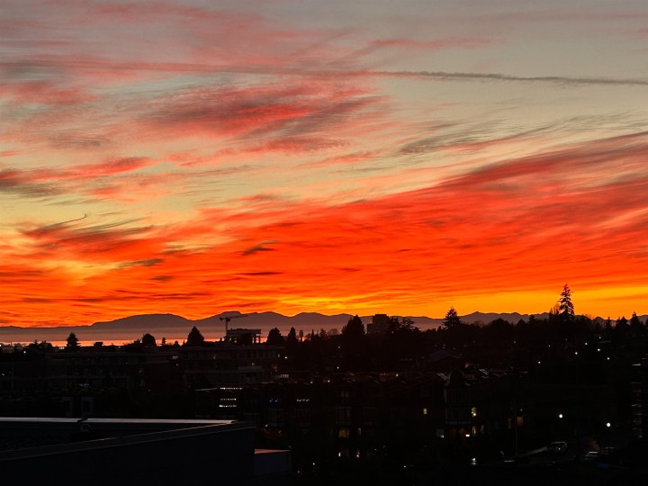 Photo 11 at 609 - 7428 Alberta Street, South Cambie, Vancouver West