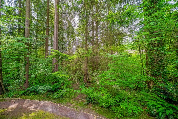 Photo 39 at 867 Frederick Road, Lynn Valley, North Vancouver