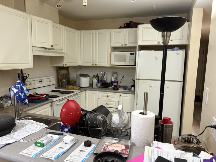 Photo 8 at 204 - 137 W 17th Street, Central Lonsdale, North Vancouver