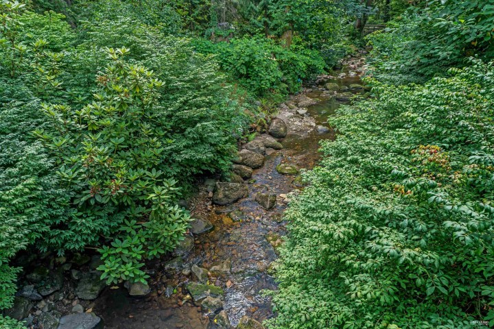 Photo 36 at 2901 Allan Road, Westlynn Terrace, North Vancouver