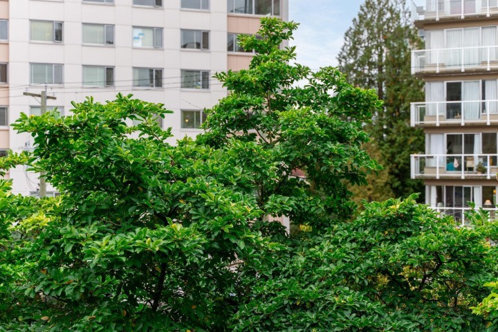 Photo 30 at 304 - 1928 Nelson Street, West End VW, Vancouver West